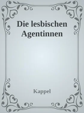 Kolja Kappel Die lesbischen Agentinnen (US Lesiban Agents Adventure) обложка книги