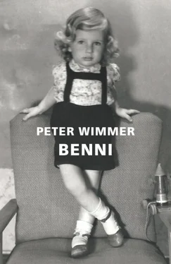 Peter Wimmer BENNI обложка книги