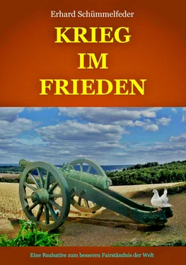 Erhard Schümmelfeder Krieg im Frieden обложка книги