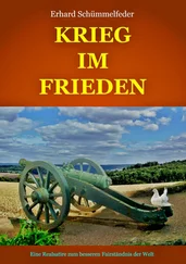 Erhard Schümmelfeder - Krieg im Frieden