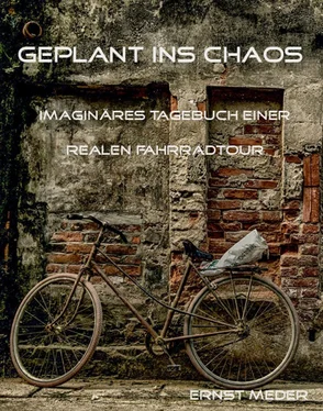 Ernst Meder Geplant ins Chaos обложка книги