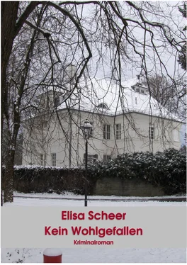 Elisa Scheer Kein Wohlgefallen обложка книги