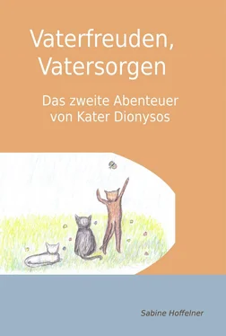 Sabine Hoffelner Vaterfreuden, Vatersorgen обложка книги