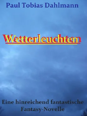 Paul Tobias Dahlmann Wetterleuchten обложка книги