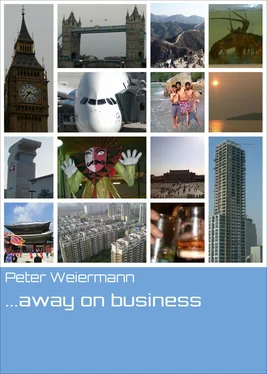 Peter Weiermann ...away on business обложка книги