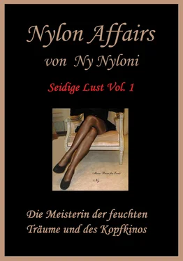Ny Nyloni Seidige Lust Vol.1 обложка книги
