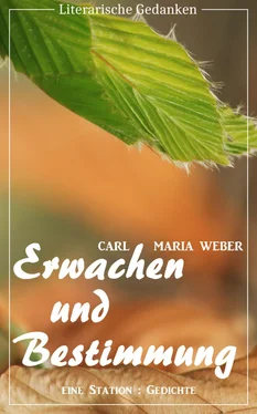 Carl Maria Weber Erwachen und Bestimmung (Carl Maria Weber) (Literarische Gedanken Edition) обложка книги
