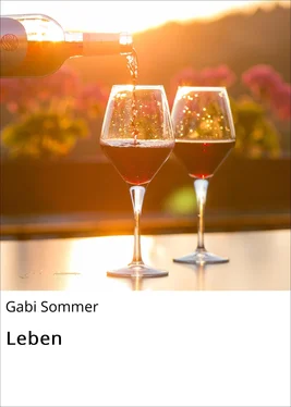 Gabi Sommer Leben обложка книги