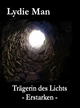 Lydie Man Trägerin des Lichts - Erstarken обложка книги