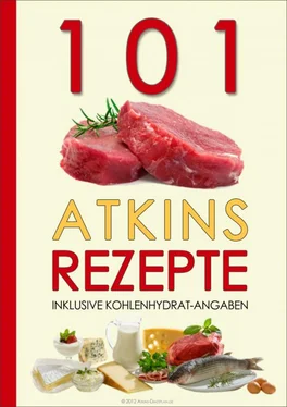 Atkins Diaetplan.de 101 Atkins Rezepte обложка книги