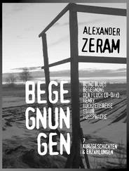 Alexander Zeram - BEGEGNUNGEN