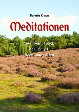 Renate Kruse Mediationen aus dem Reich der Engel, Feen und Elfen обложка книги