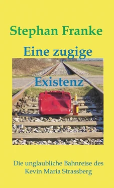 Stephan Franke Eine zugige Existenz обложка книги