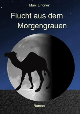 Marc Lindner Flucht aus dem Morgengrauen обложка книги
