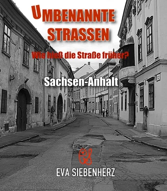 Eva Siebenherz Umbenannte Straßen in Sachsen-Anhalt обложка книги