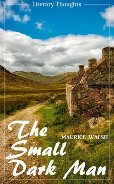 Maurice Walsh The Small Dark Man (Maurice Walsh) (Literary Thoughts Edition) обложка книги