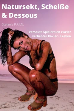Stefanie P.A.I.N. Natursekt, Scheiße & Dessous обложка книги