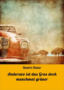 Beatrix Kaiser Anderswo ist das Gras doch manchmal grüner обложка книги