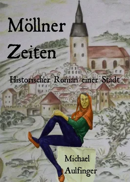 Michael Aulfinger Möllner Zeiten обложка книги