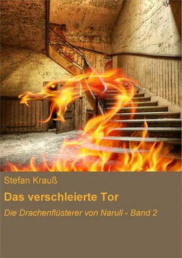 Stefan Kraus Das verschleierte Tor обложка книги