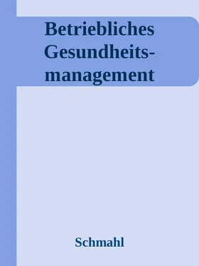 Christian Schmahl Betriebliches Gesundheits- management обложка книги