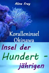 Alina Frey - Insel der Hundertjährigen