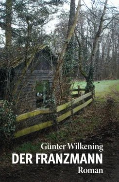 Günter Wilkening Günter Wilkening обложка книги