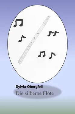 Sylvia Obergfell Die silberne Flöte обложка книги
