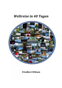 Friedbert Wittum Weltreise in 40 Tagen обложка книги