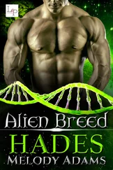 Melody Adams - Hades