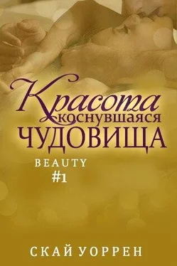 Скай Уоррен Красота, коснувшаясь чудовища обложка книги