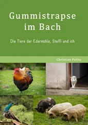 Christian Polito - Gummistrapse im Bach