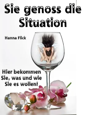 Hanna Flick Sie genoss die Situation обложка книги