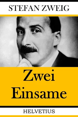 Stefan Zweig Zwei Einsame обложка книги