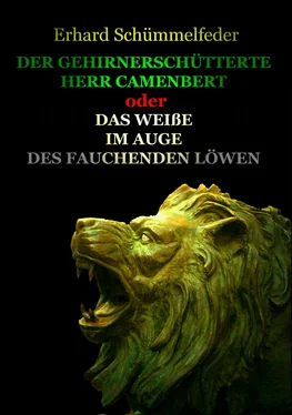 Erhard Schümmelfeder DER GEHIRNERSCHÜTTERTE HERR CAMENBERT обложка книги