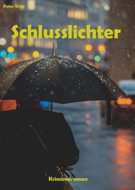 Peter Weis Schlusslichter обложка книги