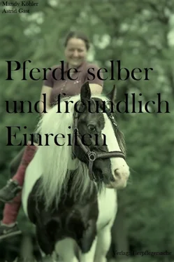 Mandy Köhler Pferde selber und freundlich Einreiten обложка книги