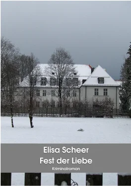 Elisa Scheer Fest der Liebe обложка книги