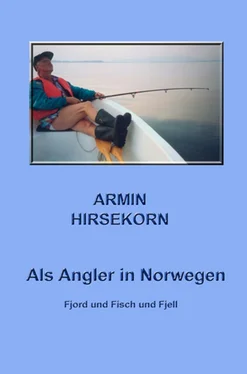 Armin Hirsekorn Als Angler in Norwegen обложка книги