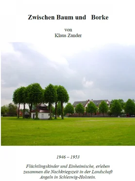 Klaus Zander Zwischen Baum und Borke обложка книги