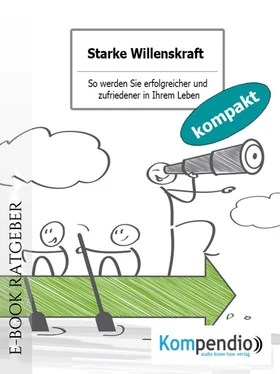 Ulrike Albrecht Starke Willenskraft обложка книги