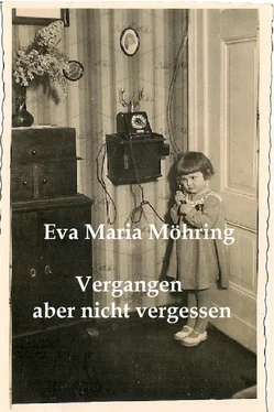 Eva Maria Möhring Vergangen aber nicht vergessen обложка книги