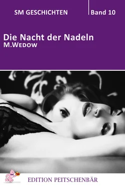 M. Wedow Die Nacht der Nadeln обложка книги