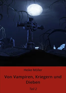 Heike Möller Von Vampiren, Kriegern und Dieben обложка книги