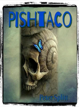Peter Splitt PISHTACO обложка книги
