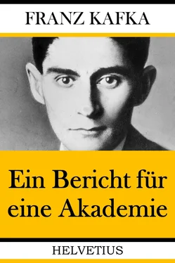 Franz Kafka Ein Bericht für eine Akademie обложка книги