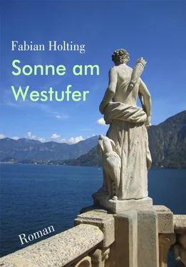 Fabian Holting Sonne am Westufer обложка книги