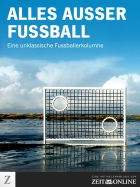 ZEIT ONLINE Alles außer Fußball обложка книги