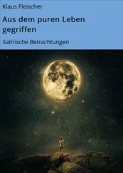 Klaus Fleischer - Aus dem puren Leben gegriffen