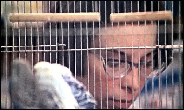 Die sehr schüchterne Adrianna Talia Shire arbeitet in einer kleinen - фото 34